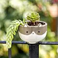 Cat Planter thumbnail