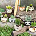Cat Planter thumbnail