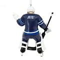 Goalie - Winnipeg Jets thumbnail