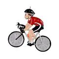 Bicycle Boy Rider thumbnail