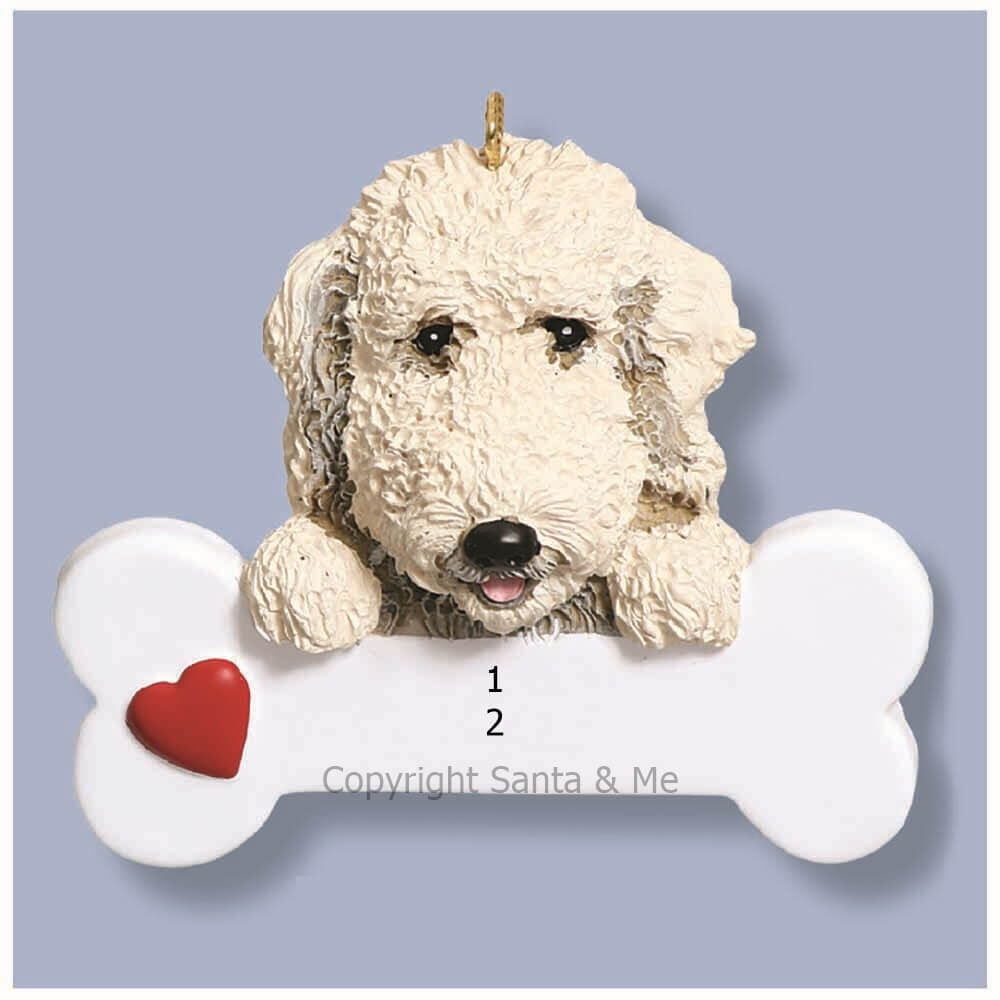 Labradoodle