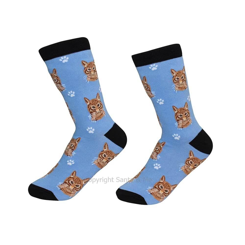 Silver Tabby Cat /Socks