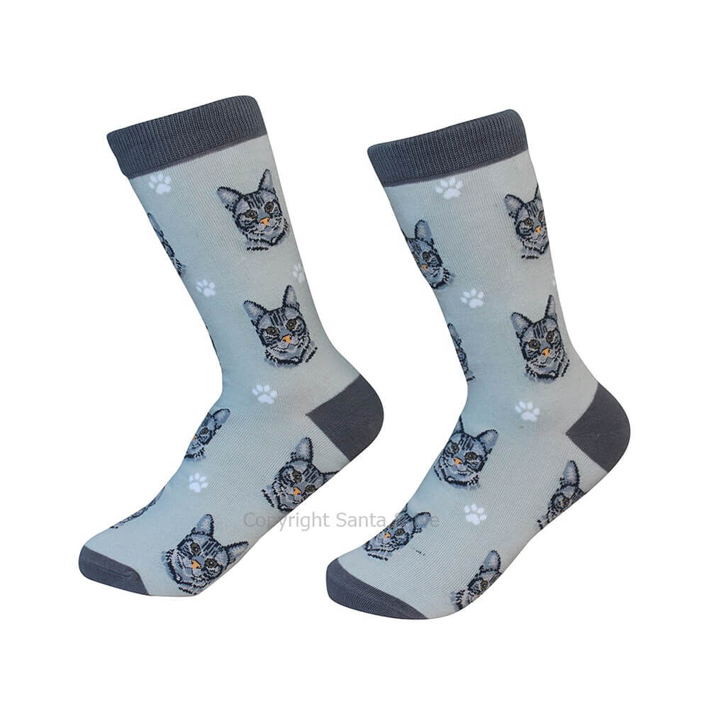 Orange Tabby Cat /Socks