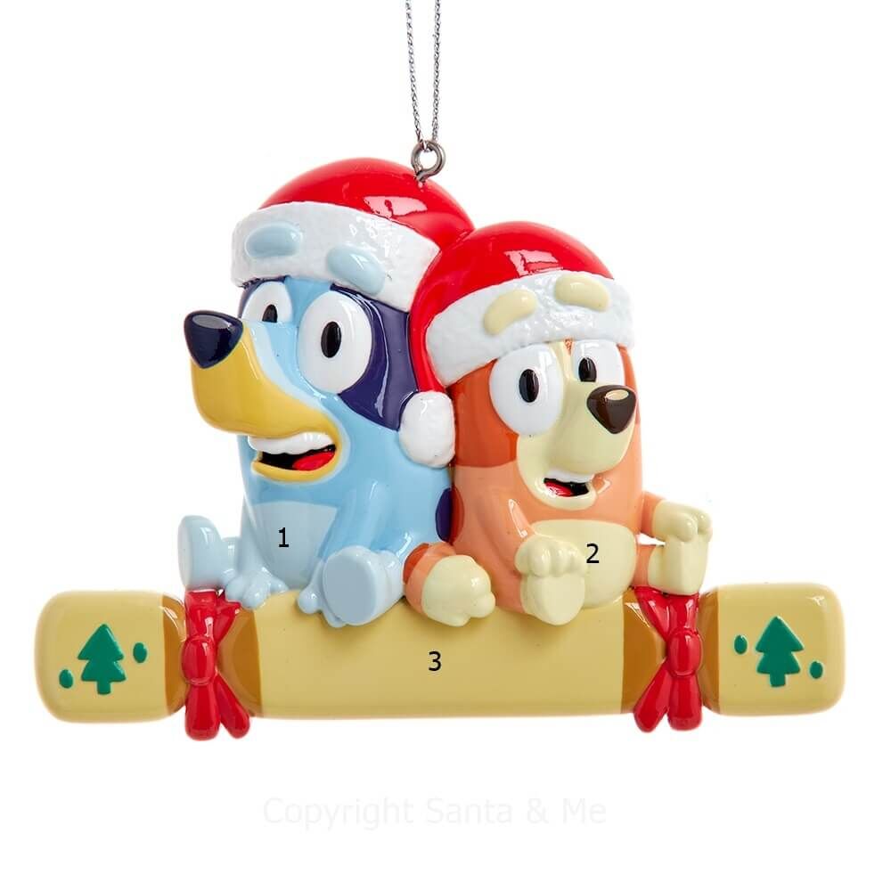 Bluey & Bingo