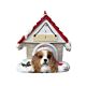 King Charles Cavalier /Doghouse with Magnet