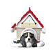 King Charles Cavalier Tricolor /Doghouse with Magnet