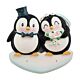 Buy Wedding Penguins by PolarX for only CA$22.00 at Santa And Me, Main Website.