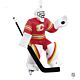 Goalie - Calgary Flames