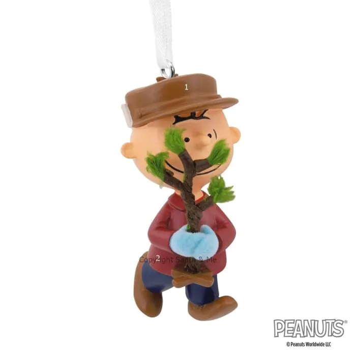 Charlie Brown Charlie Brown