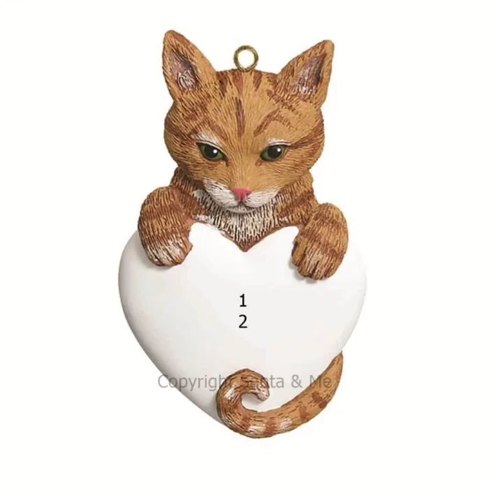 Tabby/ Orange Tabby/ Orange
