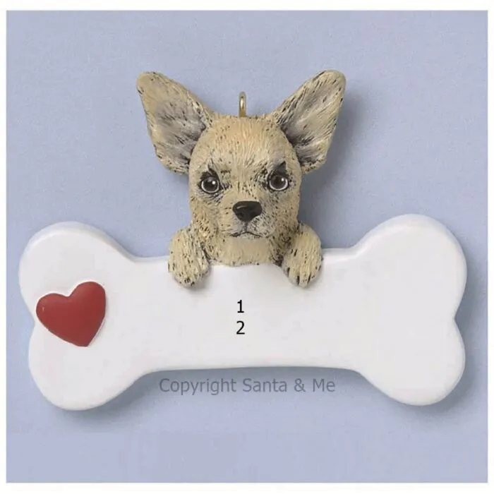 Chihuahua Chihuahua
