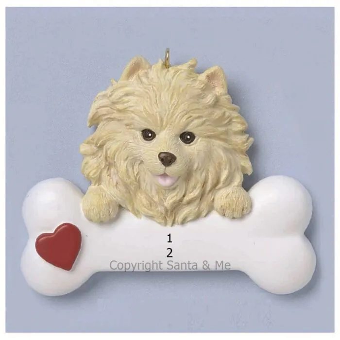 Pomeranian Pomeranian