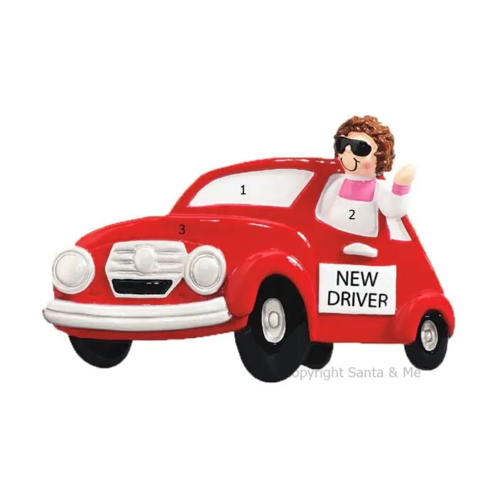 New Driver /Girl New Driver /Girl