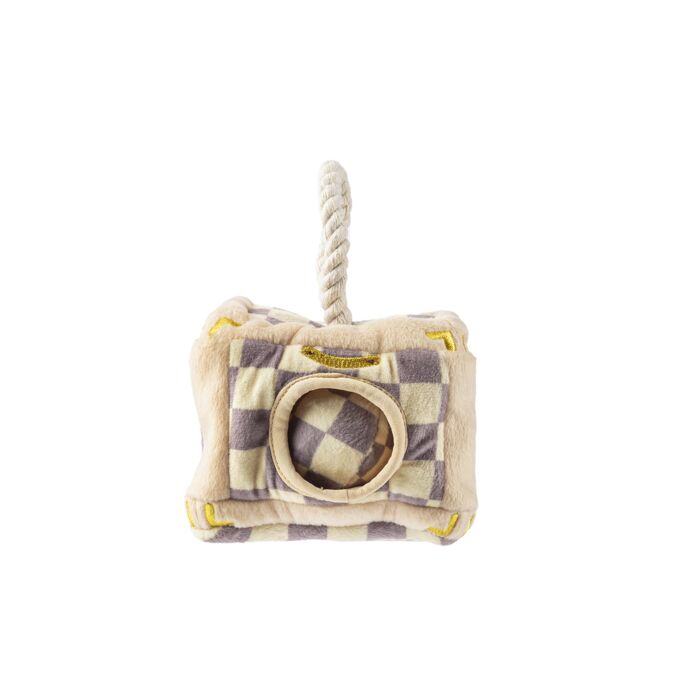 Checker Chewy Vuiton Trunk - Activity House 