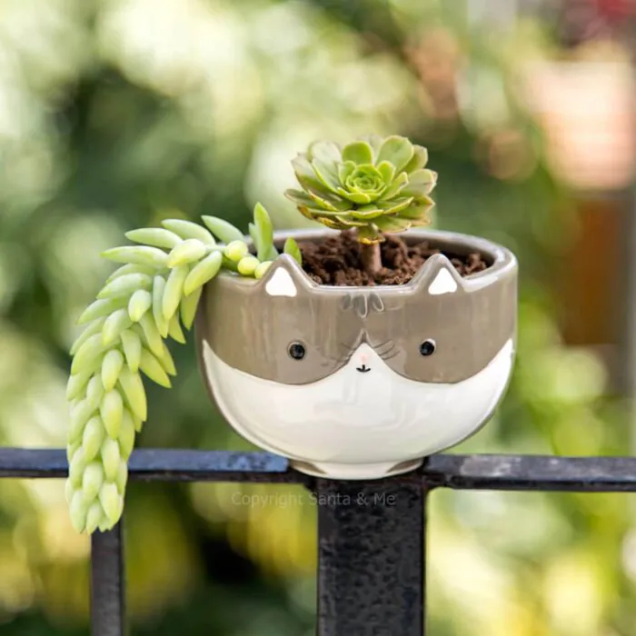 Cat Planter
